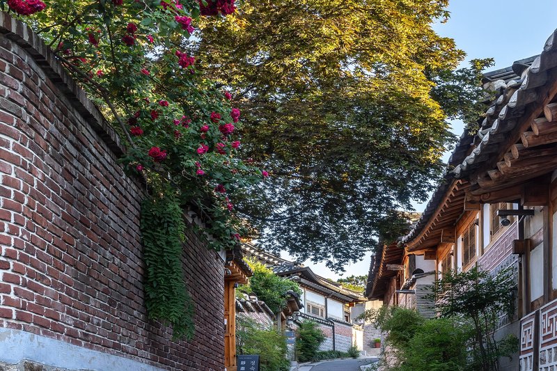 Bukchon Hanok Village (3/3)