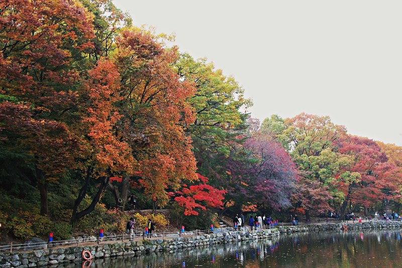 Changgyeonggung (2/2)