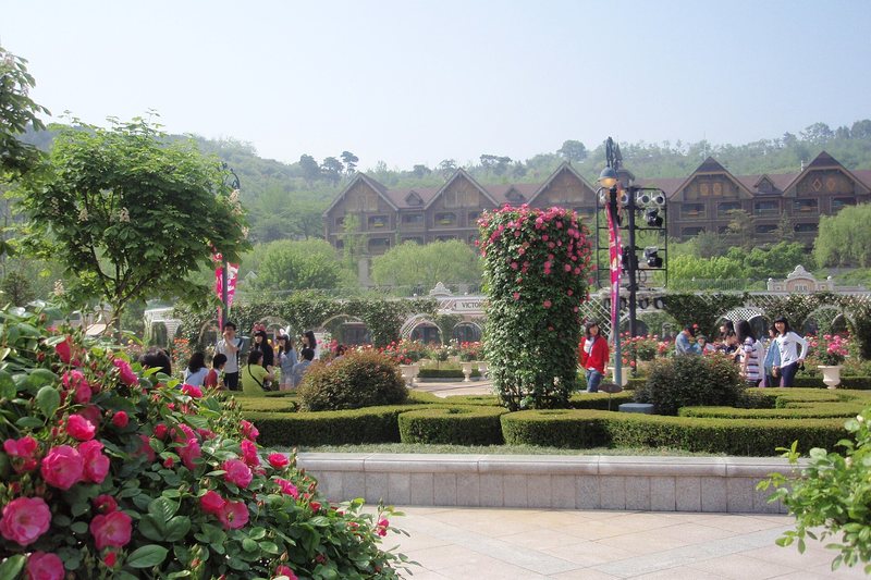 Everland (1/2)