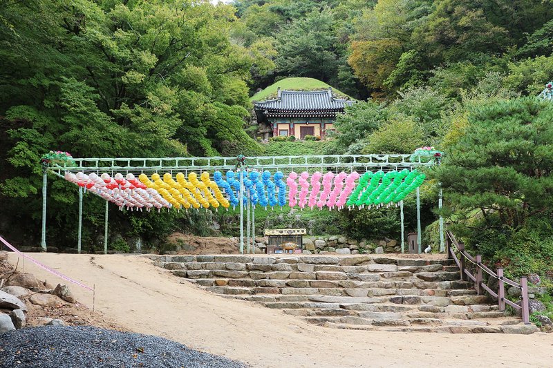 La entrada a Bulguksa ahora es gratuita; toma el autobús 10 u 11 desde el centro (3/3)