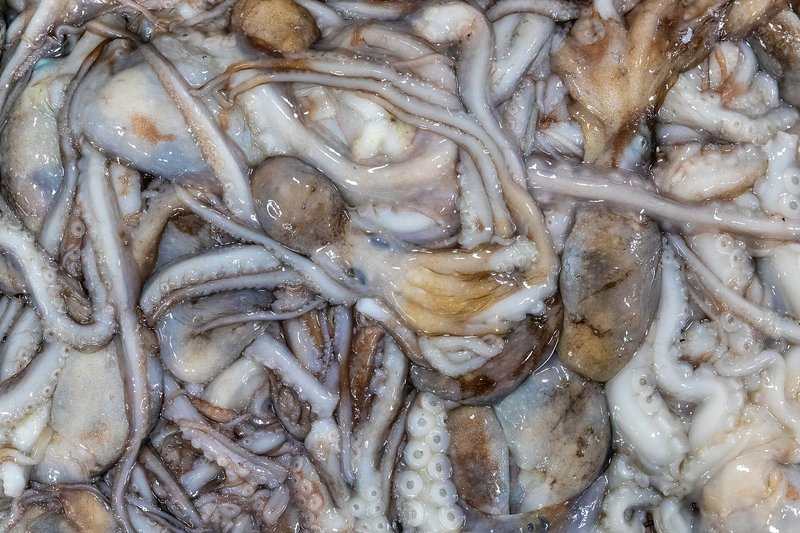 Noryangjin Fish Market (3/3)