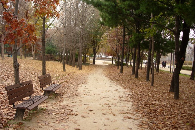 Seoul Forest (2/2)