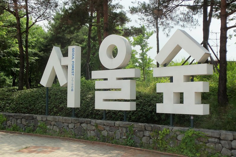 Seoul Forest (1/2)
