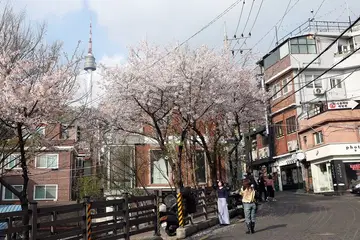 Subir la colina de Haebangchon en el orden adecuado